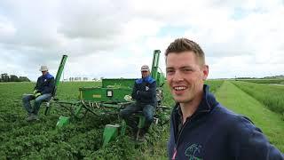 Aardappelselectie: Speurneuzen op zoek naar zieke aardappels - Bie de Boer (34)