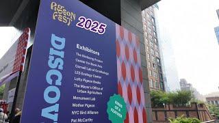 Jun 14 '25 - NYC Live Walk: Rainy Saturday and Pigeon Fest 2025 @friendsofthehighline