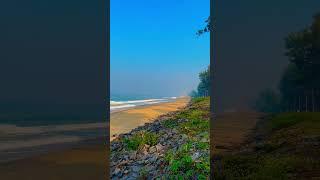 Nature therapy️ #nature #travelwithjo #travel #maharashtra #beach #relaxing #travellife #shorts