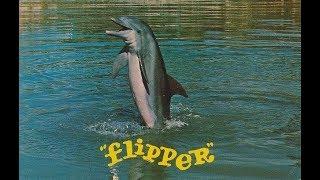 Flipper - Intro [1964]