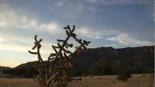 Albuquerque: quondam