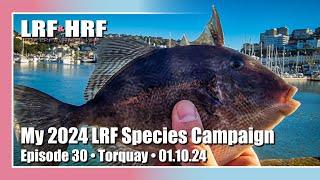 Episode 30: My 2024 LRF Species Hunt - Torquay