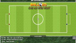 ibra Vs Wild Wolf (2D Ball)