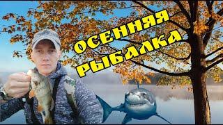 ПОСЛЕДНИЕ НОВОСТИ С ВОДОЕМОВ СТРАНЫ ! Рыбалка в Минской области. Окунь на ультралайт. Осень 2022.