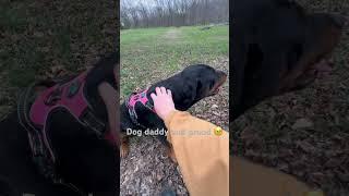 @Rottweilerlife @Dog.Dad.Studios @WLKY @lovedogs668
