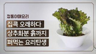 요리로 탄생한 집콕놀이법 | 집콕요리 여기까지 해봤다 | 저탄고지 식단 요리