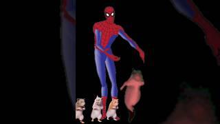 Chess Type Beat - Jesus Mus1c  x "THAT ONE DANCING RAT" with Spiderman  #spiderman #ratdance