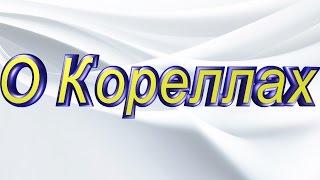 #О кореллах
