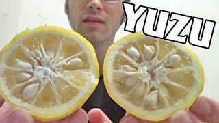 Yuzu Fruit Review in Hong Kong - Weird Fruit Explorer - Ep. 56