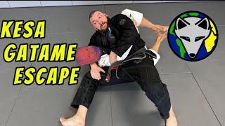 Kesa Gatame/Head Lock Escape #rollwiththefox | S:6-Ep:33 