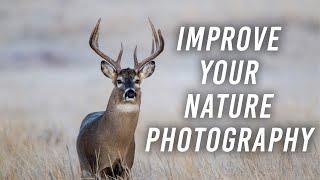 Improve Your Nature Photography, Without Your Camera