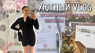 vlog: УЮТНЫЙ день  продуктивно (почти) | учеба онлайн, любимая еда, дождь и романтизация жизни₊ ⊹