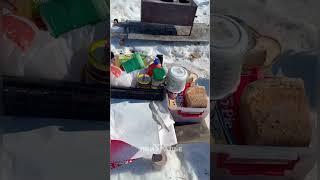 Переезд в тундре #ямал #крайнийсевер #оленеводы