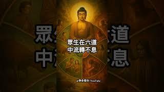 六道輪迴真的存在嗎？佛陀曾這樣開示#佛法智慧 #六道輪迴 #佛陀開示 #人死後去哪裡#輪迴轉世 #佛教故事 #因果報應 #心靈療癒#佛音覺悟 #修行人生
