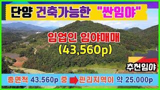 임업인임야매매 단양싼임야 ▶43,560p 농림지역과 보전관리지역 건축가능한 임야매매 임업용산지 준보전산지