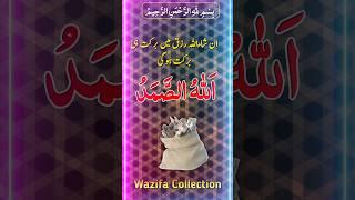 Paison Ki Liye Wazifa | #allah #allahkenamekawazifa #viralvideo #allahusamad #viral #paisonkawazifa