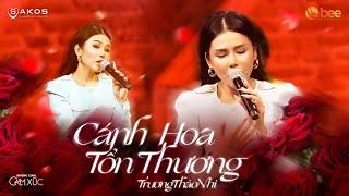 TRƯƠNG THẢO NHI suýt rơi nước mắt với version mới CÁNH HOA TỔN THƯƠNG | Live at Không Gian Cảm Xúc