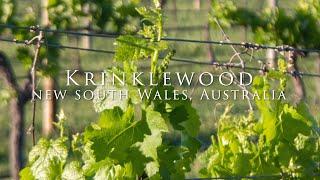 Krinklewood Biodynamic Vineyard NSW Australia