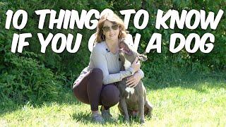 10 Things You Should Know If You Own A Dog