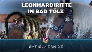 80 Wagen und 300 Pferde: Leonhardi-Ritt in Bad Tölz