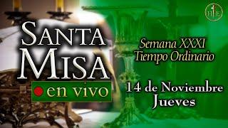 Santa Misa  Jueves 14 de noviembre 7:30 a.m.️ Heraldos del Evangelio