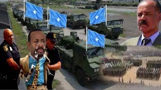 Daawo Oohinta Abiy Somaliya Walalo ayaan Nahay,Masar oo Cadowga,Dagaal marabno..