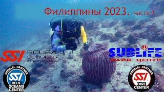 Дайвинг на Филиппинах. Остров Миндоро. LaLaguna Beach Club. октябрь 2023