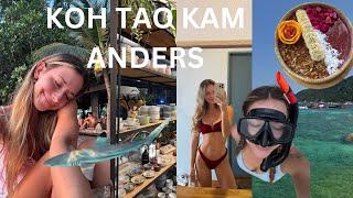 Keine Unterkunft finden, Lebensmittelvergiftung & Schnorcheln mit Haien Ep. 7 | Koh Tao kam anders 