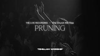 Pruning - Tehillah Worship (Official Live Video)
