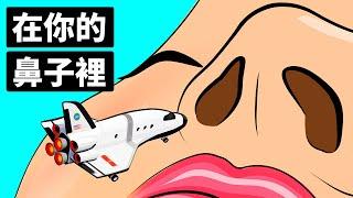 進入你的鼻子一遊，來看看嗅覺是如何運作的