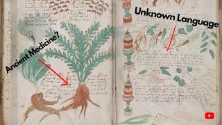 An Impossible Ancient Puzzle: The Voynich Manuscript