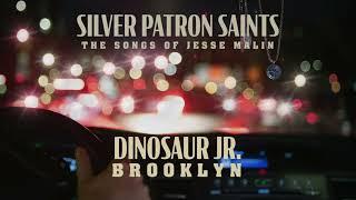 Dinosaur Jr./Jesse Malin - Brooklyn (Official Visualizer)