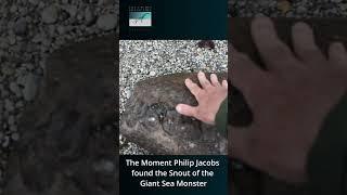 The Moment Philip Jacobs found our Sea Rex #searex #pliosaur #giantseamonster #shorts #fossilhunter