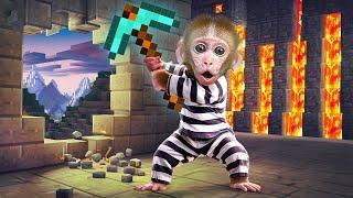 KiKi Monkey survive 100 Days in Minecraft Maze Challenge to swimming with Duckling |KUDO ANIMAL KIKI