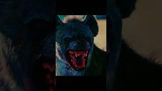 wheN  (Hyena) Came TO Village ...#ytshorts #shorts #viral#thalapathy #vijay#movie#attitude #animal