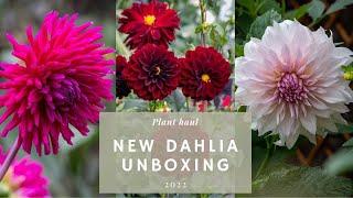 16 striking DAHLIA varieties I’m growing this year + my favourites from last year ️HAUL & UNBOXING