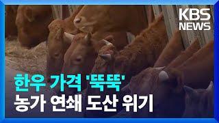 한우 가격 하락에 전염병 위기까지…농가 연쇄 도산 위기 / KBS  2024.11.08.