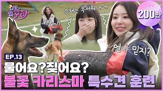 [SUB] 역대급 쫄보 케미?! 사쿠라X은채 특수견 훈련 도전! [겁도 없꾸라] EP.13