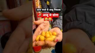 Potato In Gamla #ytshorts #trendingshorts #explorepage #likeforlikes #subscribe #share #like #new