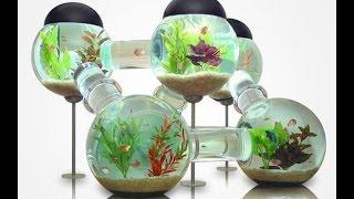 Menakjubkan , Aquarium Unik dan kreatif