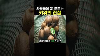 사람들이 잘 모르는 ‘키위의 진실’