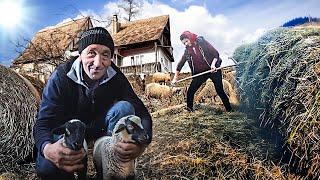 A COUPLE'S HARD LIFE IN A MOUNTAIN VILLAGE