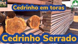 CEDRINHO SERRADO E EM TORAS, QUAL AGUENTA MAIS?