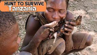 TANZANIA: SEE HOW THIS AFRICAN TRIBE HUNT TO SURVIVE IN TANZANIA'S WILDERNESS!!