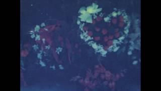 1950s - Wayne County, North Carolina - Home movie filmed by Gene Aycock - #14