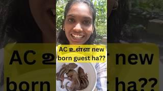 Ac உள்ள new born guest ha?? |UK-Explore Bites #shorts