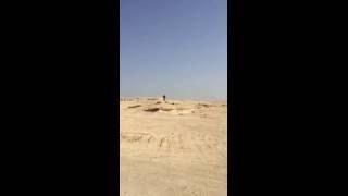 Bahrain desert MTB trails