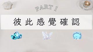 彼此感覺確認Part 1「無時間限制」｜塔羅占卜+占卜小物｜Ora Tarot