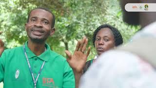 Vegetable Farming Training: Modern Techniques for High-Yield Sustainable Agriculture