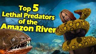 Top 5 Lethal predators of the Amazon River